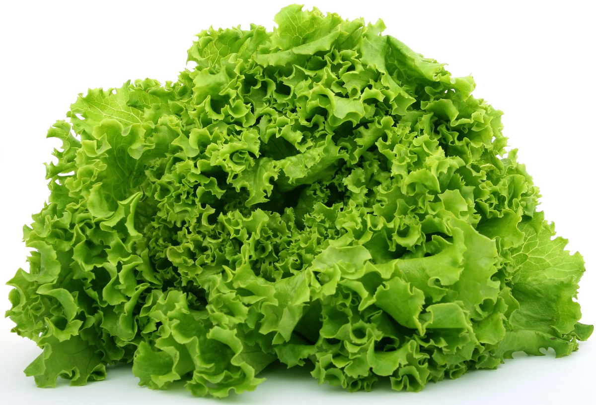 Produce - Veg - Lettuce